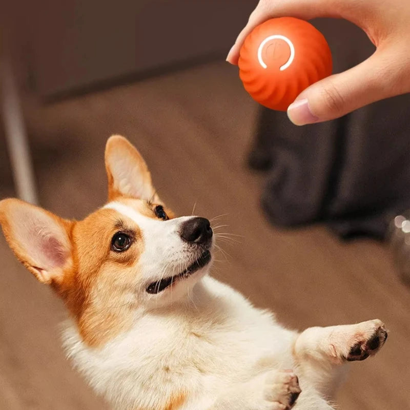 Smart Bewegende Hondenbal